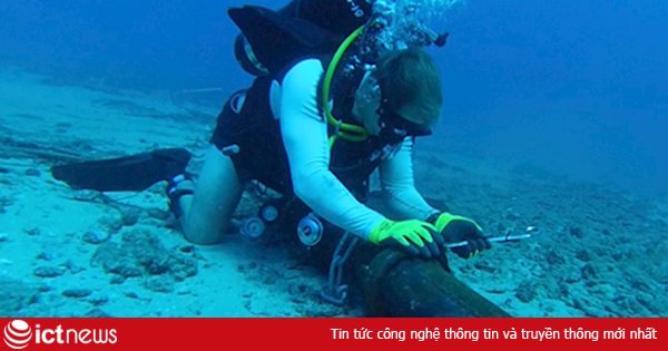 Ngày 24/9, bắt đầu xử lý sự cố đứt cáp quang biển Liên Á
