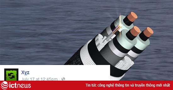 Dân mạng kêu trời vì… mạng chậm sau sự cố đứt cáp quang biển AAG