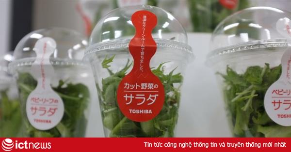 Chán công nghệ, Toshiba quay sang trồng rau sạch