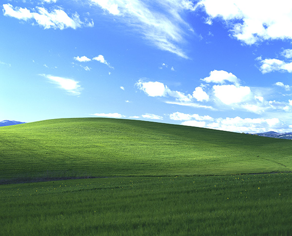 windows xp, hệ điều hành windows