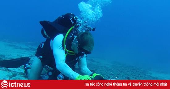 Đứt cáp quang biển AAG, Internet Việt Nam lại bị ảnh hưởng nặng nề