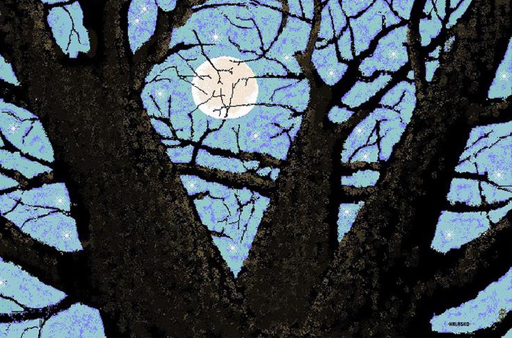 MS Paint, Microsoft, office 2003