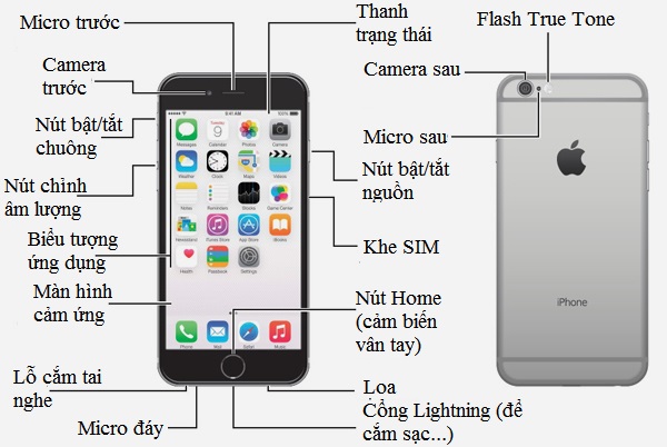 A1-Huong-dan-su-dung-iPhone-6-iPhone-6-Plus-co-ban.jpg