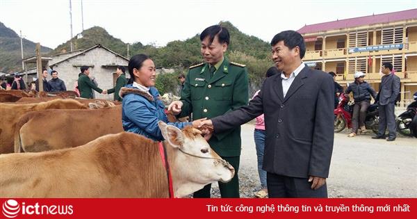 Viettel tặng bò giống giúp đồng bào nghèo biên giới tại Hà Giang