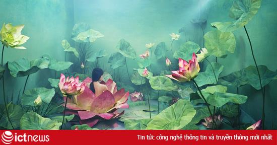 Những bức ảnh đẹp như mơ không hề “qua tay” photoshop