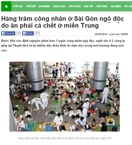 Facebook của Thanh Bùi chia sẻ bài sai sự thật cá biển chết ở miền Trung - ảnh 1