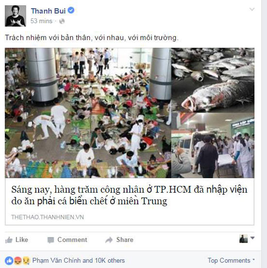 Facebook của Thanh Bùi chia sẻ bài sai sự thật cá biển chết ở miền Trung - ảnh 2