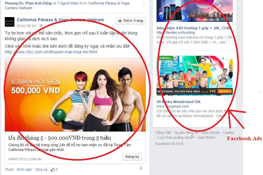 Facebook, Google thu tiền quảng cáo sai luật ở Việt Nam - ảnh 1