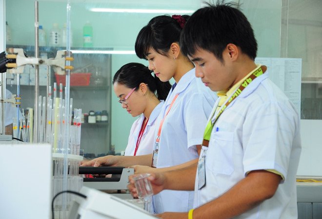 Hà Nội cấp chứng chỉ hành nghề dược trực tuyến mức độ 3 từ ngày 1/6 - ảnh 1