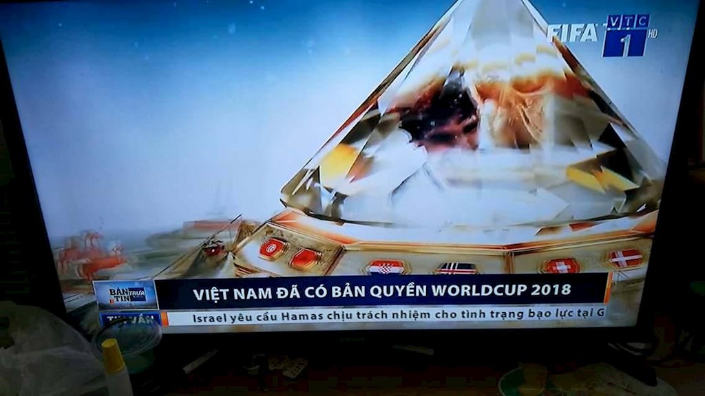 Rộ tin đồn đại gia BĐS góp tiền với VTV mua bản quyền World Cup 2018 - ảnh 2