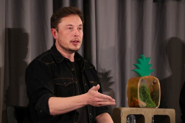 Elon Musk cử đội kỹ sư tới Thái Lan giải cứu 12 bé trai bị mắc kẹt trong hang động - ảnh 7