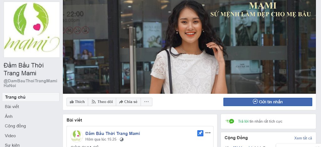 Tung tin sai về dịch tả lợn châu Phi trên Facebook, chủ shop thời trang sẽ bị phạt 20 triệu đồng - ảnh 1