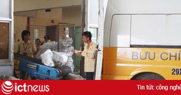 Giải pháp cho vận chuyển thư báo cấp I