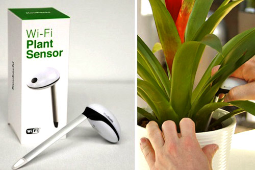 wifi-plant-sensor.jpg