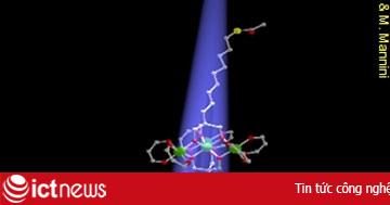Cánh cửa mới cho ngành công nghệ thông tin