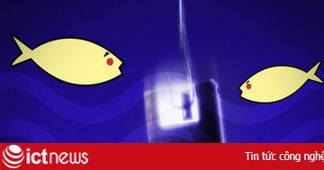 An ninh mạng nửa đầu 2009: Trojan thế chỗ Phishing