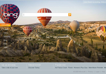 Bing.jpg