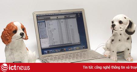 Loa máy tính hình cún cưng