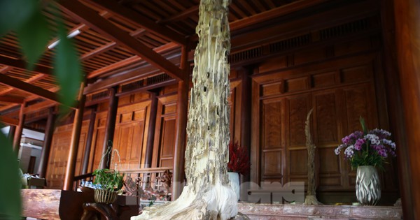 Về thủ phủ lắm tỷ phú phất lên nhờ trầm hương