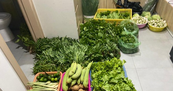 Thực phẩm online 'tăng phi mã' giữa thời điểm Hà Nội giãn cách xã hội