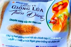 Khuyến cáo về giống lúa quảng cáo ‘ăn vào chữa được bệnh’