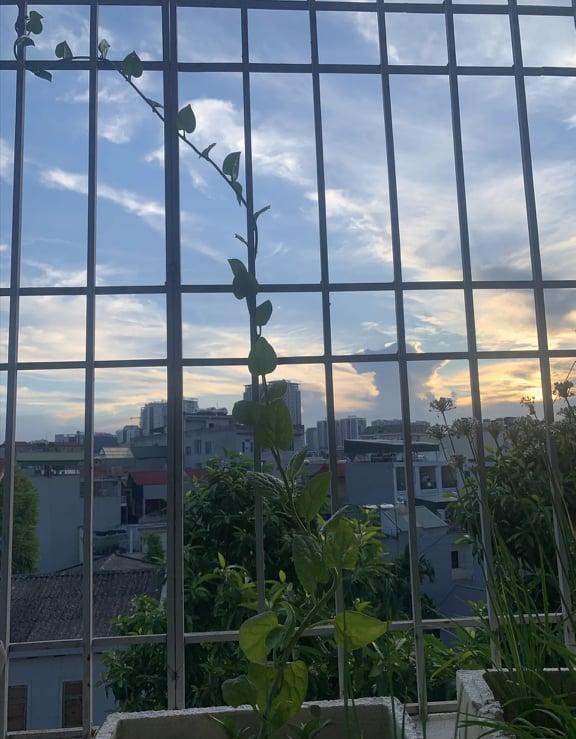 Nữ giảng viên gen Z Thalic Voice 'Năng lượng đến từ những suy nghĩ tích cực' ảnh 2