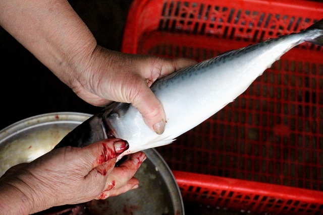 Về làng cá nướng thơm nức mũi nổi tiếng bậc nhất Hà Tĩnh - ảnh 4