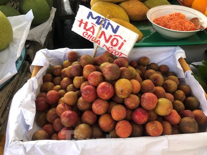 Mận Hà Nội vào Sài Gòn, giá 'loạn cào cào' - ảnh 3
