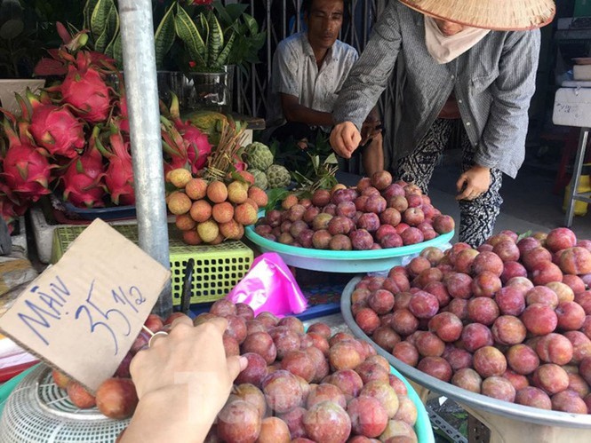 Mận Hà Nội vào Sài Gòn, giá 'loạn cào cào' - ảnh 7