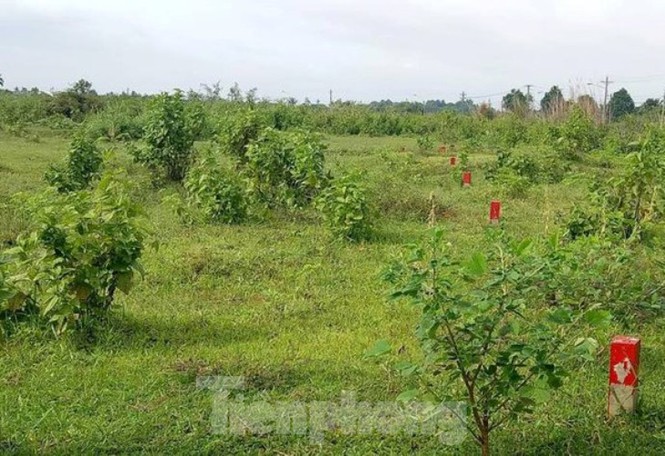 Công an mời ‘ông lớn’ BĐS đến làm việc liên quan dự án hàng nghìn tỷ ở Bình Dương - ảnh 3