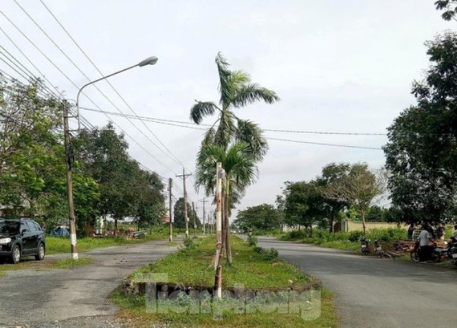 Công an mời ‘ông lớn’ BĐS đến làm việc liên quan dự án hàng nghìn tỷ ở Bình Dương - ảnh 1