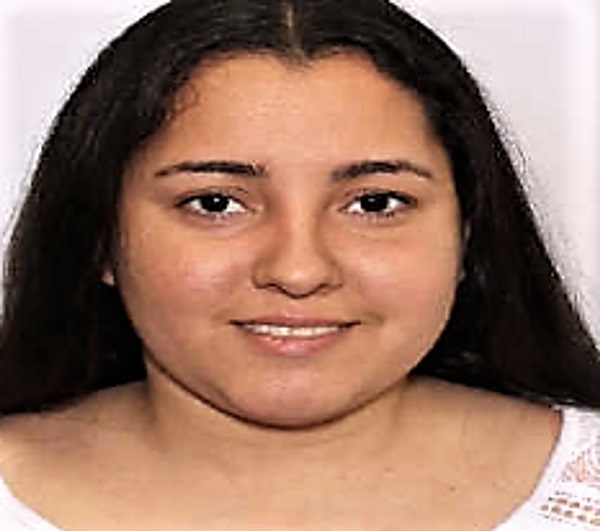 Người phụ nữ Mỹ ném rắn vào tài xế để trộm xe - ảnh 1