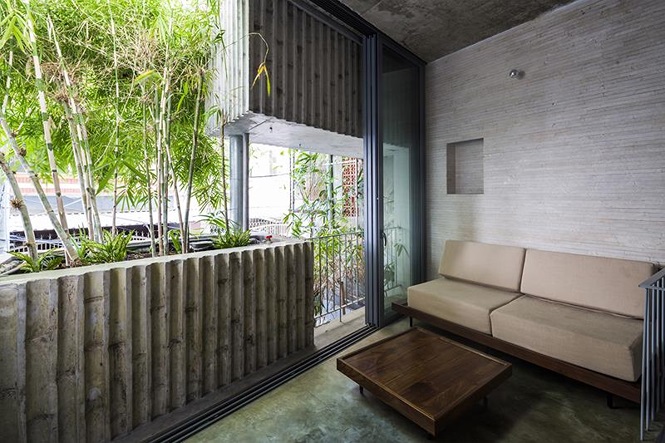 'Nhà tre' như rừng cây trong hẻm Sài Gòn, vừa tắm vừa nghe chim hót - ảnh 4