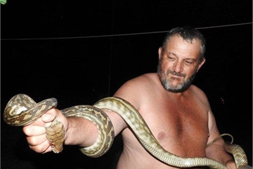 Cậu bé ngủ thấy tay đau buốt, mở mắt kinh hãi phát hiện "quái thú" bên cạnh