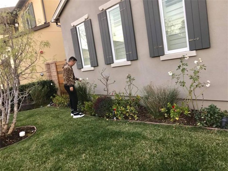 Ngam biet thu khung cua Dam Vinh Hung ben My, bat ngo diem dac biet-Hinh-3