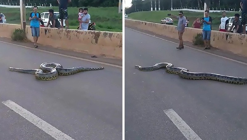 Khong ngan con nguoi, tran