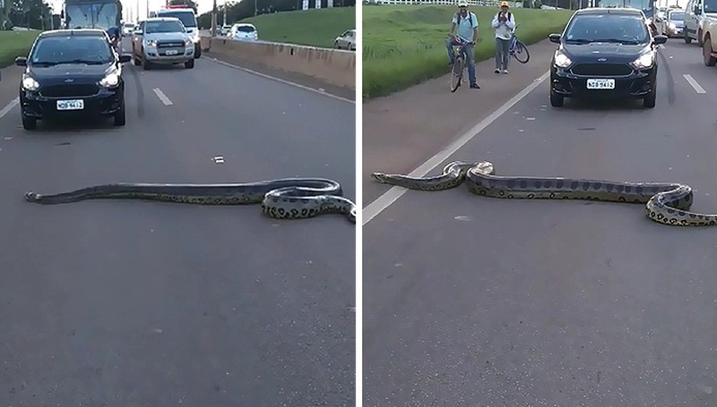 Khong ngan con nguoi, tran