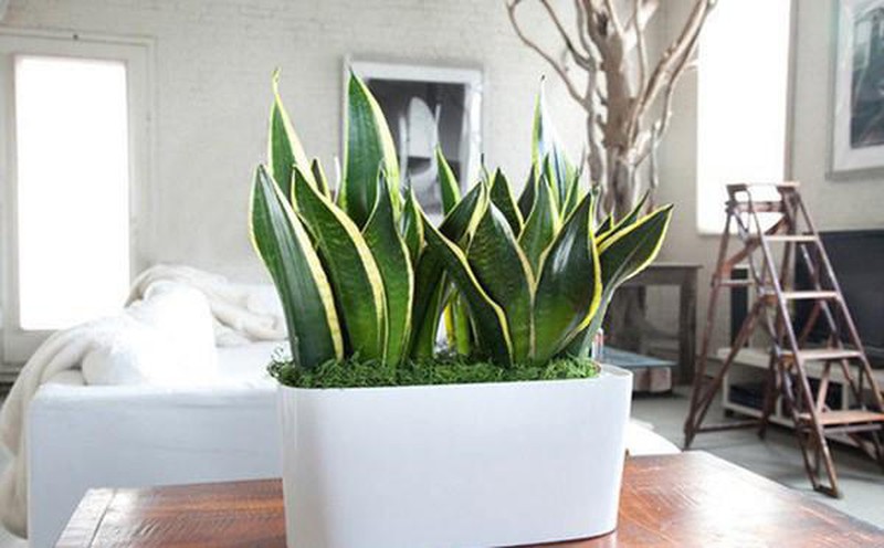 8 nham lan phong thuy 'sai bet’ nha nao cung mac