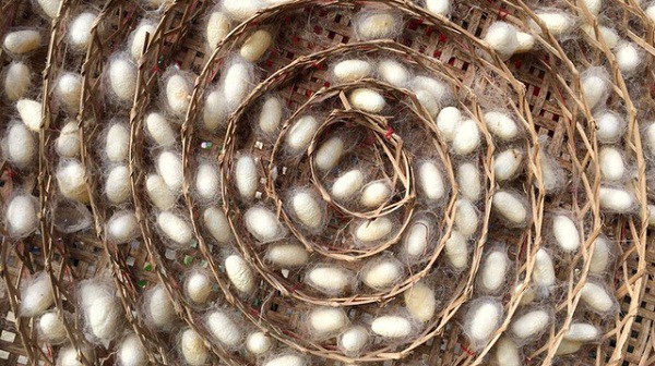 ý tưởng điên rồ