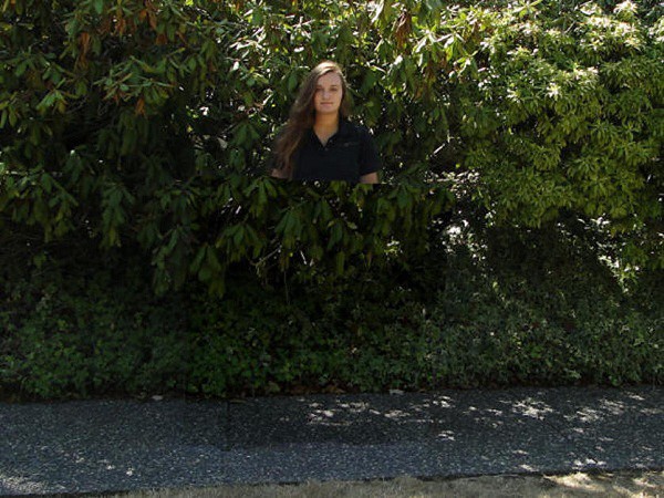 ý tưởng điên rồ