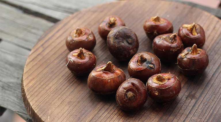 Nguy co tiem an tu loai cu rat nhieu nguoi an giai nhiet mua he