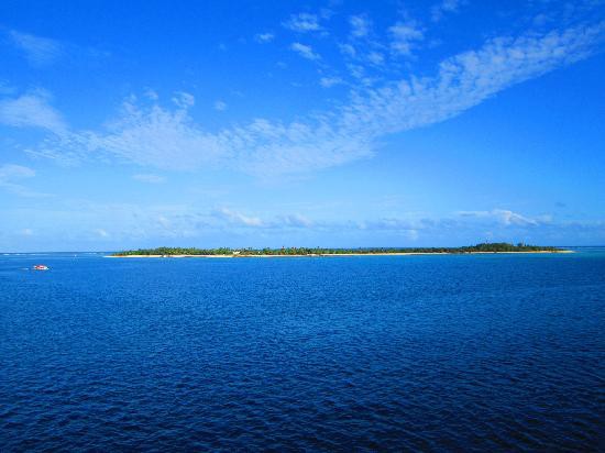 Bi an ron nguoi hon dao tach - nhap quai nhat hanh tinh-Hinh-5