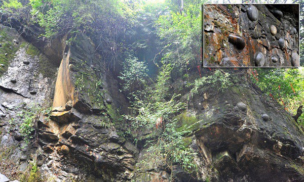 Vach da ky quai khong lo biet “de trung” thach thuc gioi khoa hoc-Hinh-10