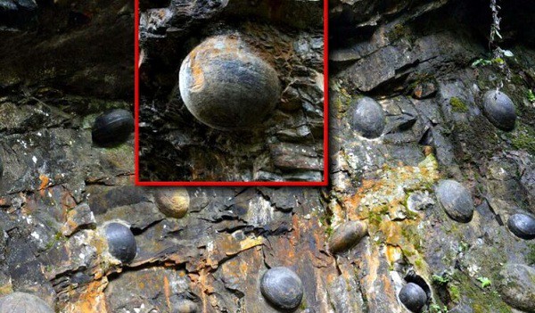 Vach da ky quai khong lo biet “de trung” thach thuc gioi khoa hoc-Hinh-9