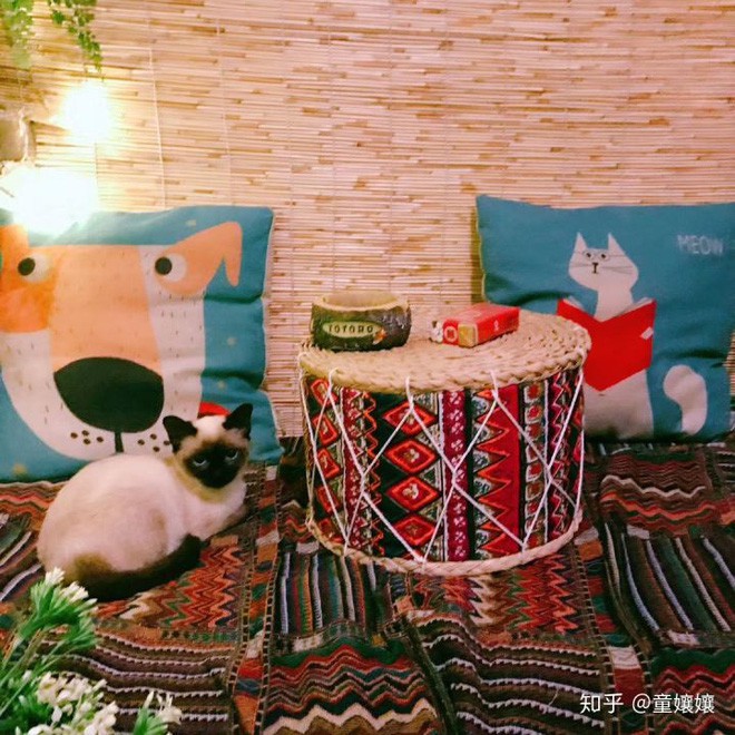 Vi nguoi nay, co gai