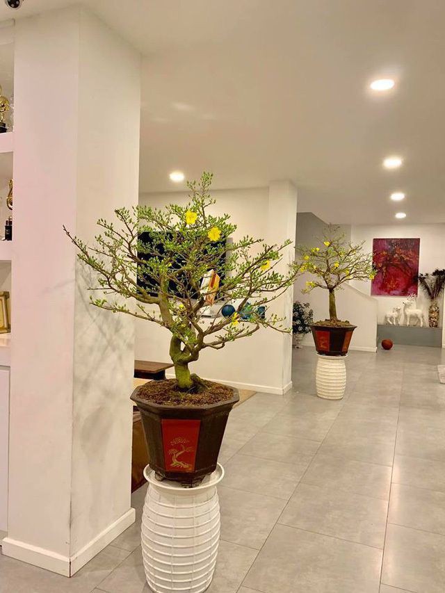 Biet thu sang chanh den can ho tien nghi cua cac ba me don than Vbiz-Hinh-4