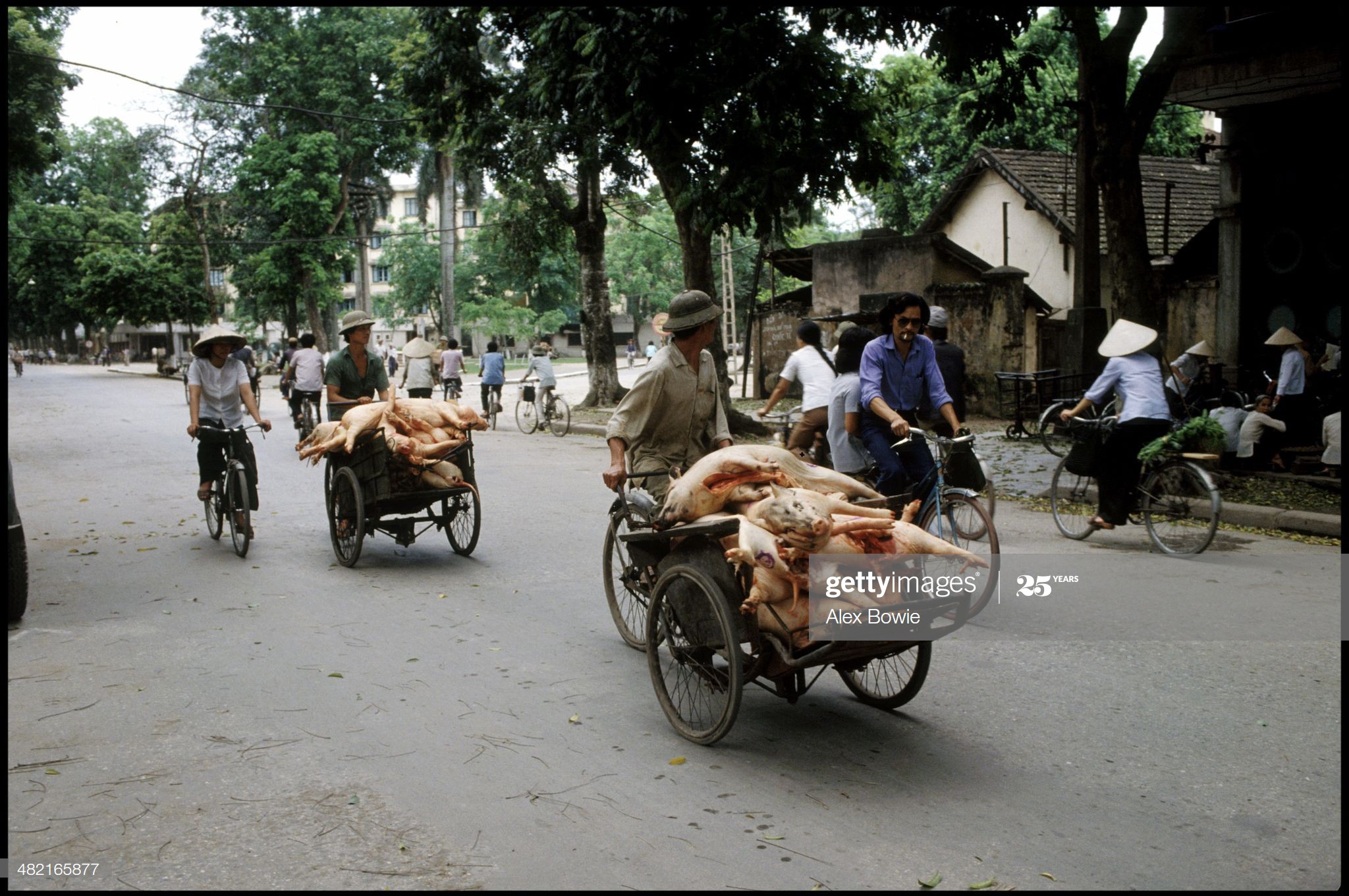 Tron mat canh cho lon bang xe dap o Viet Nam thap nien 1990-Hinh-5