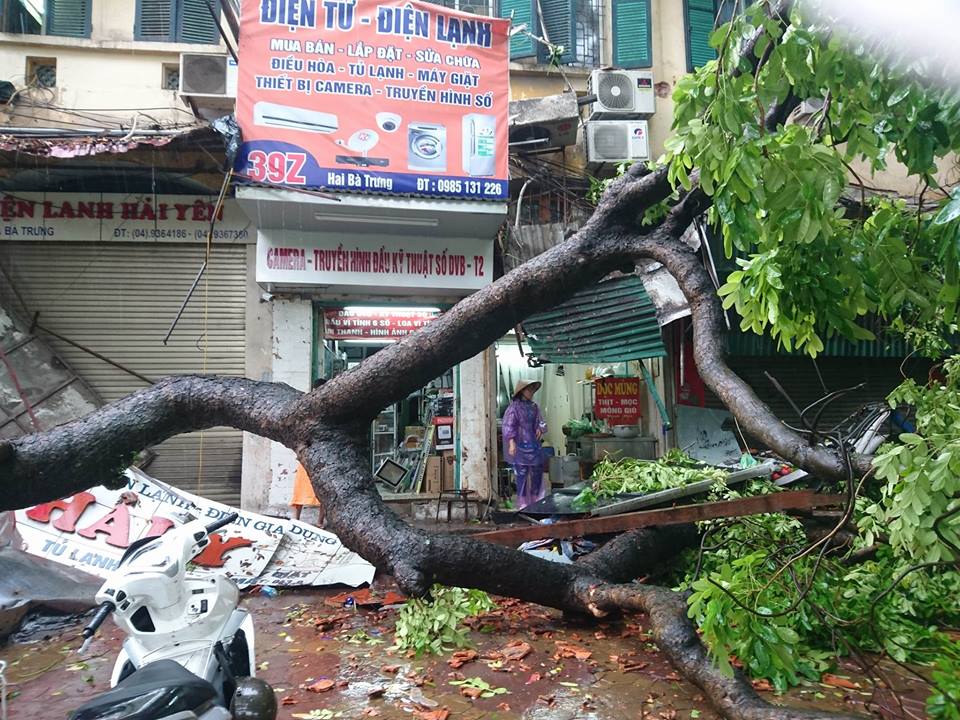 Shop TIN 29/7: HÃY BIẾT CÁCH LẮC ĐẦU - ảnh 8