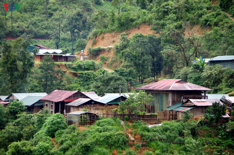 nhung mai am nghia tinh noi bien gioi muong te hinh 1