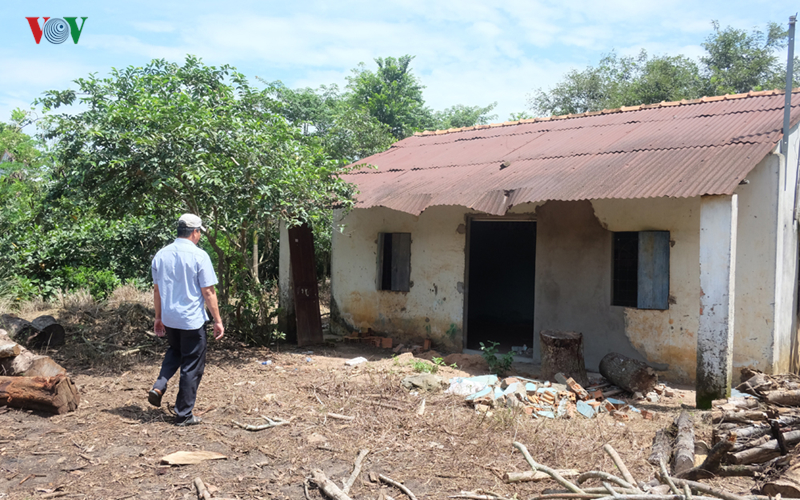 de xuat ban hanh gia den bu mot lan voi du an san bay long thanh hinh 1